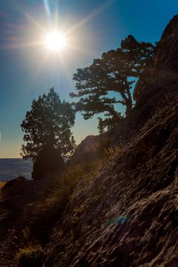 Güzellik doğa manzara Crimea