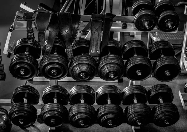 Wnętrze siłownia ze sprzętem sportowym — Zdjęcie stockowe