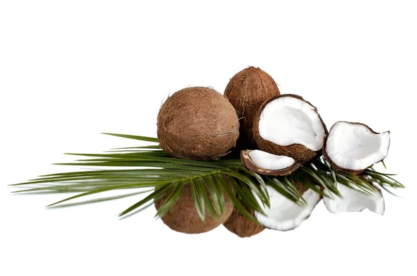 Groep van kokosnoot — Stockfoto