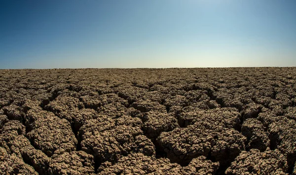 Grave seca deserto — Fotografia de Stock