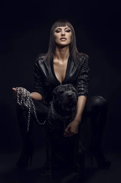 Sexy woman with dog — Stock Photo, Image