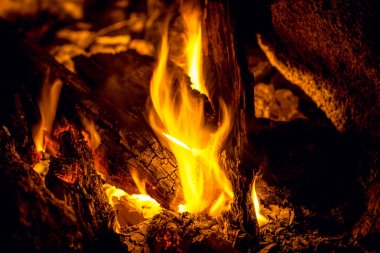 Yangın ve kömürlerin yakın çekim, Barbekü kavramının yanan alev