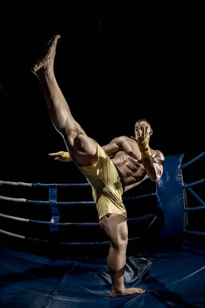 Boxeador tailandés en el ring de boxeo, pateando —  Fotos de Stock