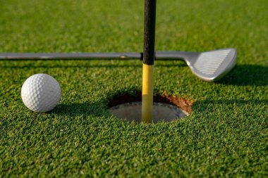 yeşil çimenlerin arkaplanı