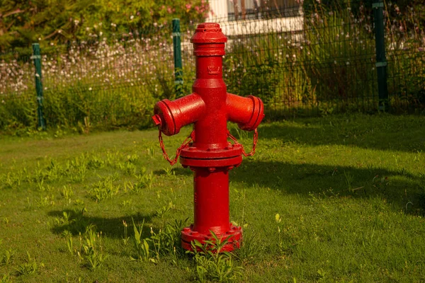 緑の芝生の上に赤い鉄のレトロな火のコック — ストック写真