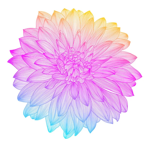 Hand drawing rainbow flower, vector — Stock Vector