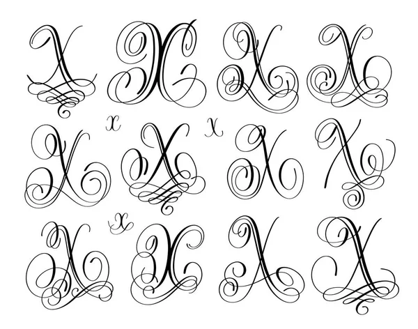 Calligraphy lettering script font x set, hand written — Stock Vector