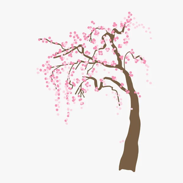 Illustration of blooming pink sakura — Stock Vector