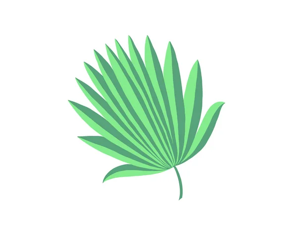 Handzeichnung des Palmblattes isoliert auf Weiß — Stockvektor