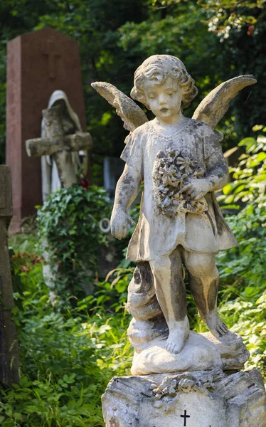 Una estatua de un ángel en un antiguo cementerio . —  Fotos de Stock