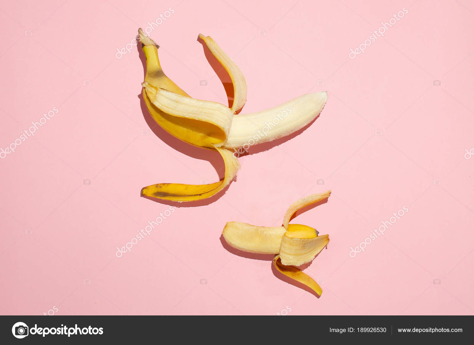 Große Größe des Penis