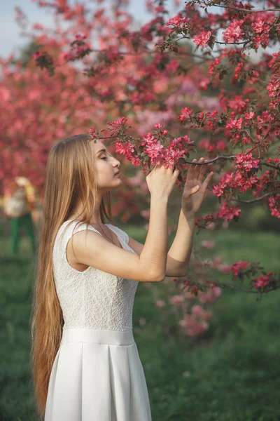 Young blond girl enjoys blooming cherry in the evening garden. Sakura blooming — Stock Photo, Image