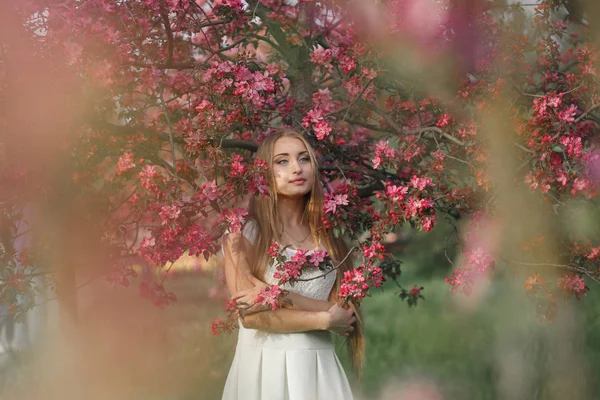 Young blonde woman standing in a blooming garden. Blooming cherry. Portrait of beautiful woman. Close up of woman face. Sakura blooming, spring evening time — Stock Photo, Image