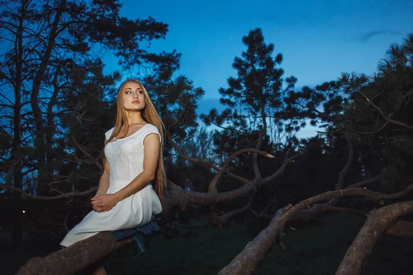 Krásná blond dívka sedí na staré větve stromu v lese mystické z LIPTOVSKÉ ZABÍJEČKY. — Stock fotografie