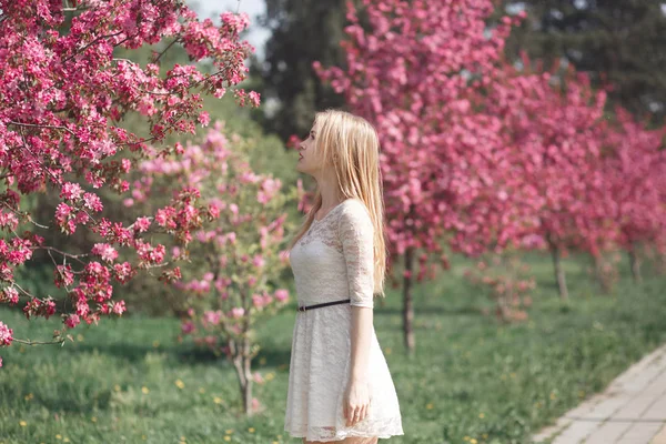 Schöne junge blonde Frau genießt sonnigen Tag im Park während der Kirschblütenzeit an einem schönen Frühlingstag — Stockfoto