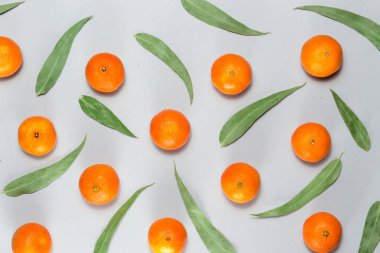 Noel kompozisyon. Lay, en iyi görünüm düz karışık taze narenciye ve eucaliptus yaprakları arka plan