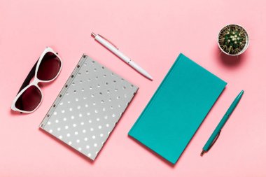 Beyaz ve yeşil-mavi kalem, gözlük, Simli defter, Akuamarin günlüğü, pembe bir arka plan üzerinde kaktüs. düz yatıyordu, en iyi görünümü.