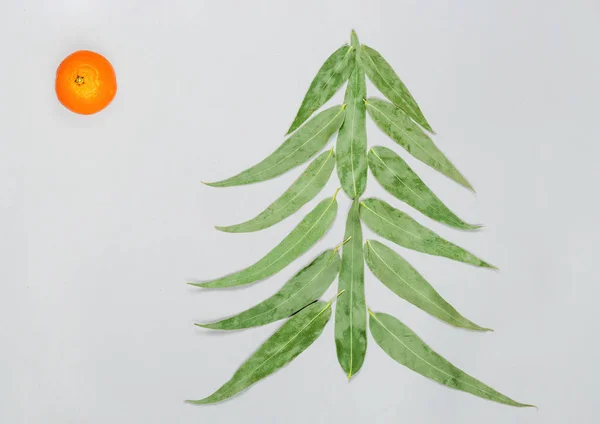 Ялинка з листя евкаліпта і мандарина. Пласка лежала. Концепція свята. Копіювати простір. є символом сонця . — стокове фото