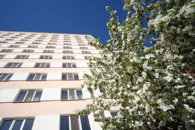 Bahar şehirde geliyor. Şu yeni gelişen bir elma ağacı bir çok daire daire ev arka plan üzerinde tasvir.