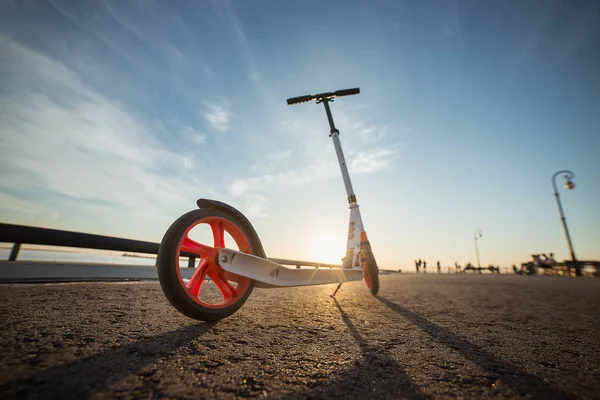 Primer plano de un scooter en el asfalto. Patada blanca scooter con ruedas anaranjadas.. Actividad deportiva al atardecer de verano . — Foto de Stock