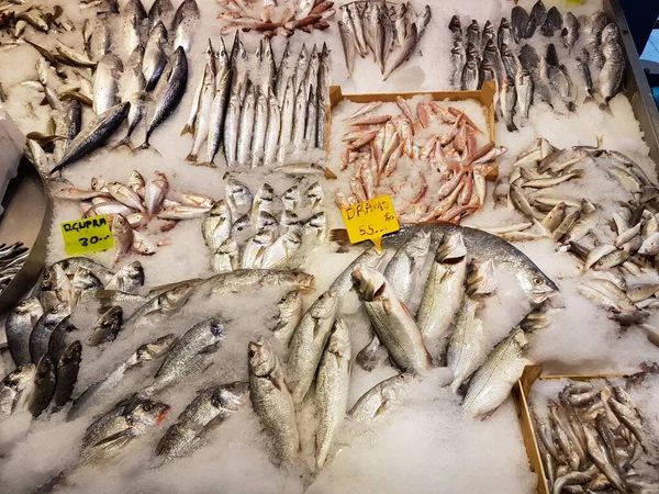 Nahaufnahme von verschiedenen Meeresfrüchten und Fisch auf dem Fischmarkt in alanya, Türkei. Lebensmittel-Hintergrund. roher Fisch und Meeresfrüchte. frische Lebensmittel — Stockfoto