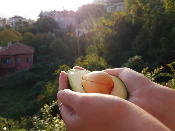 Avocado proaspăt în mâini în lumina soarelui — Fotografie, imagine de stoc