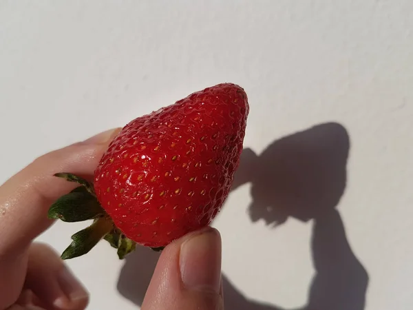 Kobieca ręka trzymająca truskawkę. Bezpośrednie światło słoneczne — Zdjęcie stockowe