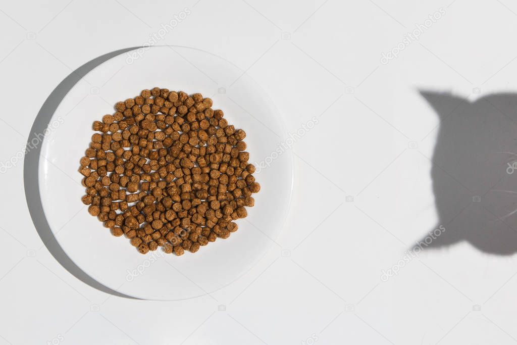 Plate with dry cat food and curious cat shadow on blue background. Direct light. Top view. Flat lay mockup