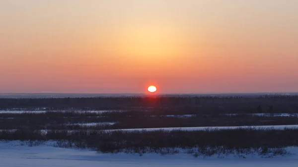 Sol de inverno carmesim em zénite, céu limpo. Cores frias vibrantes naturais — Fotografia de Stock