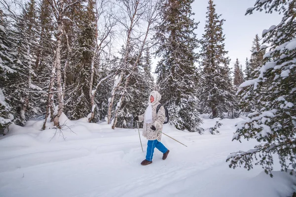 Il concetto di camminata scandinava. La donna anziana nella foresta invernale cammina scandinava tra gli abeti rossi — Foto Stock