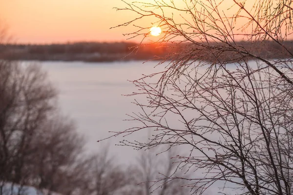 A paisagem de inverno do sol brilha através dos ramos de árvores congeladas contra a superfície do lago congelado. Solstício de inverno — Fotografia de Stock
