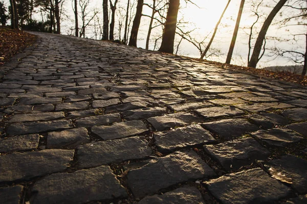 Cobblestone road going down. Sunset in forest. Road of large stones