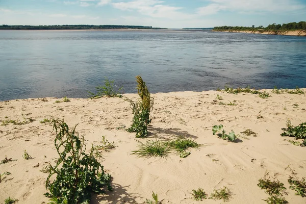 Sand glitter on the Northern Dvina. Northern sandy beaches — Stock Photo, Image