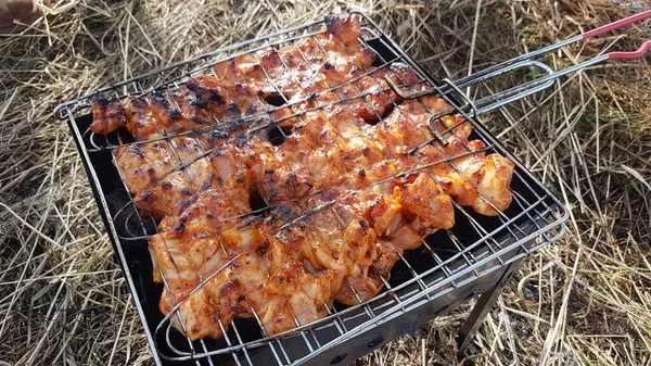 Churrascos em carvão vegetal, kebab shish, frango kebab grelhar closeup. Cozinha de alimentos ao ar livre — Fotografia de Stock