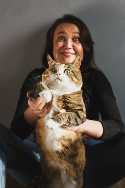 Çekici bir kadın, evde gün ışığında komik kırmızı kediyle oynuyor. Komik duygular