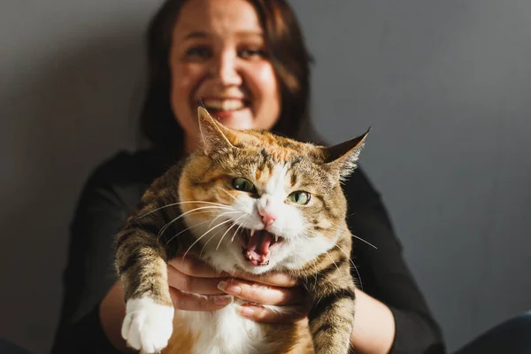 Mulher atraente brincando com gato vermelho engraçado em casa à luz do sol — Fotografia de Stock