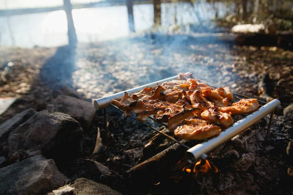 Carne di pollo in campo antincendio. Portatile in acciaio inox BBQ Grill concetto di escursioni. cucina sulla natura selvaggia — Foto Stock