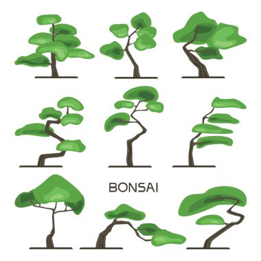 Bonsai ağacı küme. Minyatür ağaçlar büyüyen Japon sanatı. Vektör çizim, üzerinde beyaz izole.