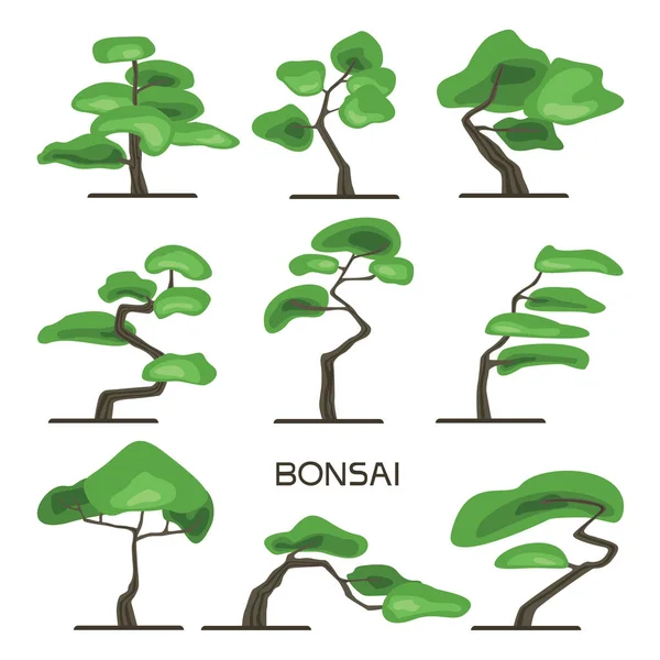 Ensemble de bonsaïs. Art japonais de cultiver des arbres miniatures. Illustration vectorielle, isolée sur blanc . — Image vectorielle