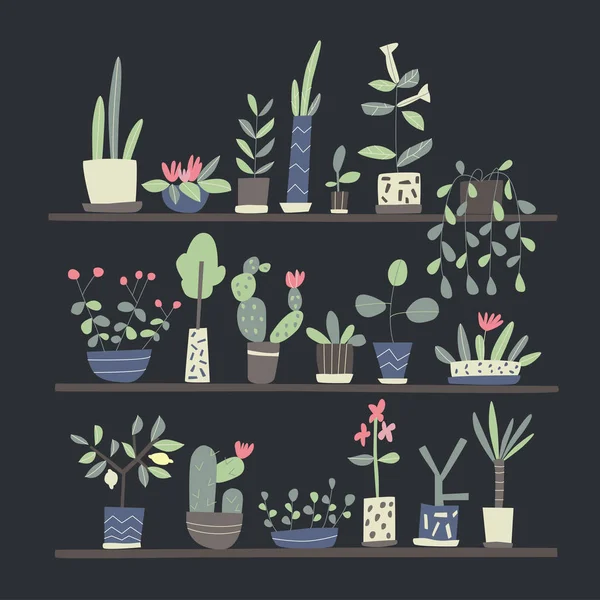 Ensemble de plantes d'intérieur sur les étagères. Illustration vectorielle sur fond noir . — Image vectorielle