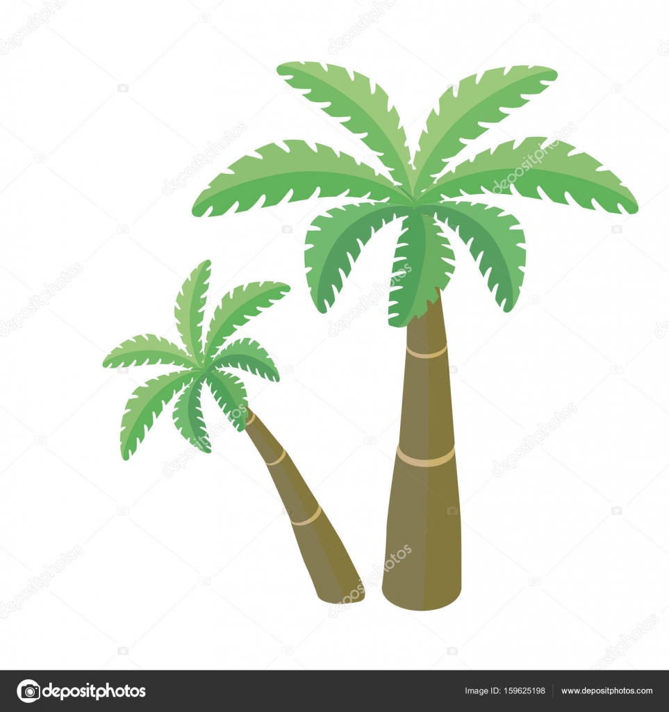 两个棕榈树，白色背景上的矢量图. 图库矢量图©goodstocker.yandex.ru 159625198, image size:963x1024