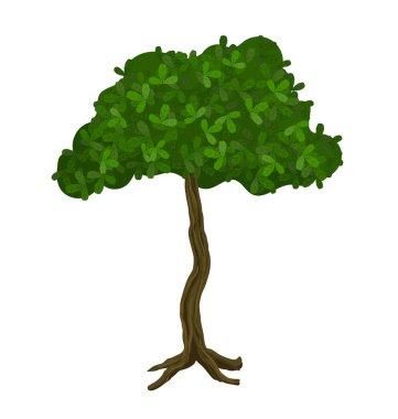 Yeşil ağaç, vektör çizim. Beyaz izole.