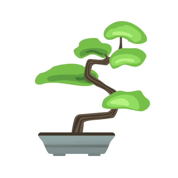 Albero di bonsai in una pentola. Arte giapponese di crescere alberi in miniatura. Illustrazione vettoriale, isolata su bianco . — Vettoriale Stock