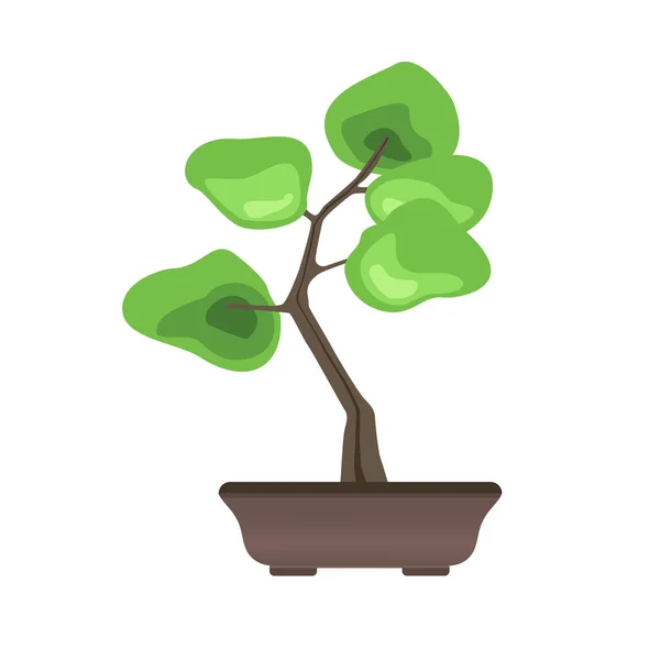 Árbol de Bonsái en una olla. Arte japonés de cultivar árboles en miniatura. Ilustración vectorial, aislada en blanco . — Vector de stock