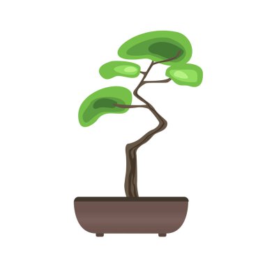 Bonsai ağacı bir tencerede. Minyatür ağaçlar büyüyen Japon sanatı. Vektör çizim, üzerinde beyaz izole.