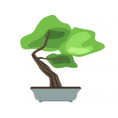 Bonsai ağacı bir tencerede. Minyatür ağaçlar büyüyen Japon sanatı. Vektör çizim, üzerinde beyaz izole.