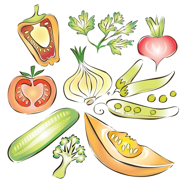 Set di verdure fresche. Pepe, cetriolo, cipolla, pomodoro e altre verdure. Illustrazione vettoriale, isolata su bianco . — Vettoriale Stock