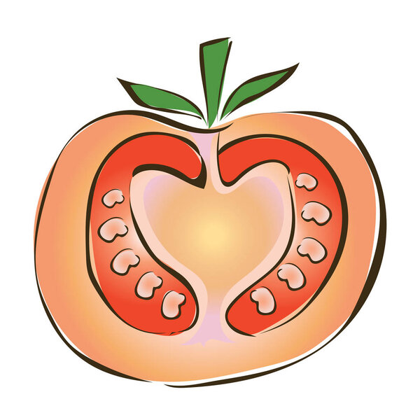 Juicy slice of tomato. Vector illustration, isolated on white.