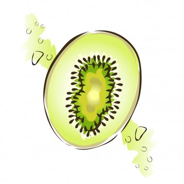 Sulu meyve kivi. Vektör çizim, üzerinde beyaz izole.