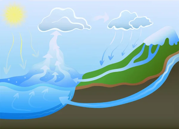 Cycle de l'eau dans la nature. Illustration vectorielle . — Image vectorielle